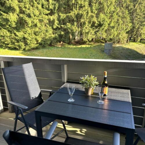 Camera twin cu chicinetă proprie cu balcon (se poate solicita pat suplimentar)