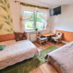 Apartament 3-osobowy z aneksem kuchennym z widokiem na góry z 1 pomieszczeniem sypialnianym