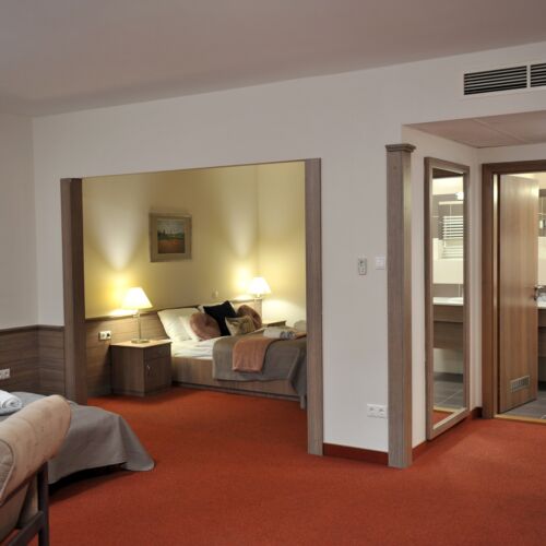 Suita cu 1 camera pentru 2 pers. (se poate solicita pat suplimentar)