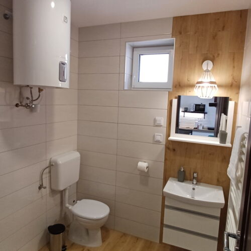 Standard Plus Pleasant Interior Design 1-Room Apartment for 4 Persons