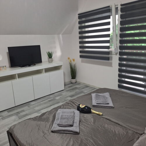 Apartament 3-osobowy cały dom z widokiem na las z 1 pomieszczeniem sypialnianym