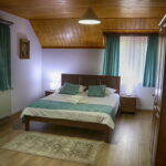 Casa Camelia Săcel