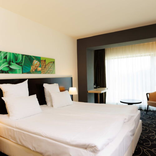 Camera dubla standard cu panoramă