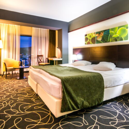 Camera dubla twin cu panoramă