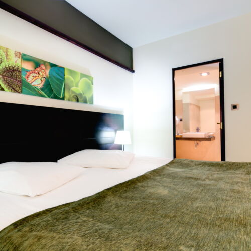 Camera dubla executive king