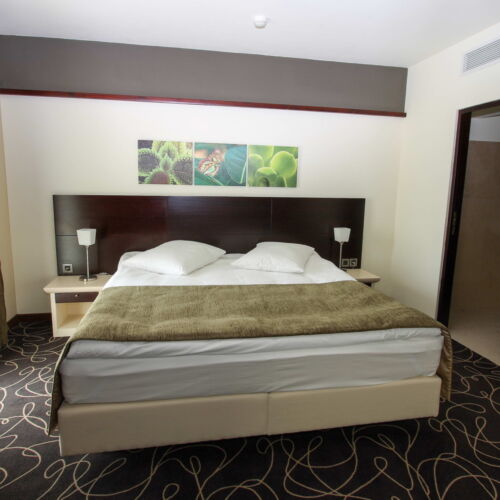 Suita junior cu 1 camera pentru 2 pers.