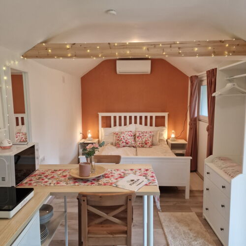 Apartament 2-osobowy Studio z widokiem na ogród z 1 pomieszczeniem sypialnianym