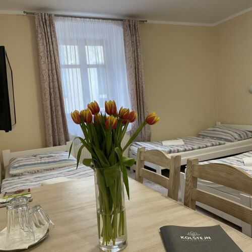 Camera tripla cu duș