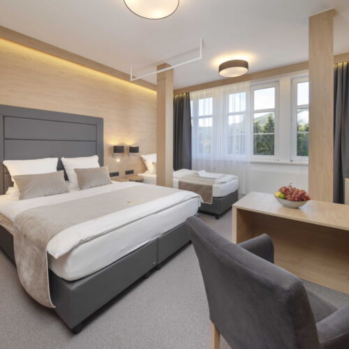 Superior Ski Slope View Triple Room