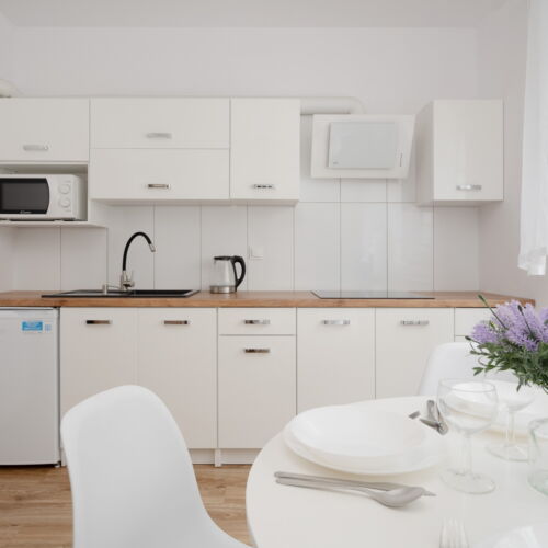 Apartman se sprchou pro 4 os. s 1 ložnicí celý Dům