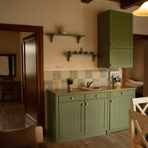 Apartament familial(ă) cu vedere spre grădină cu 2 camere pentru 4 pers. (se poate solicita pat suplimentar)