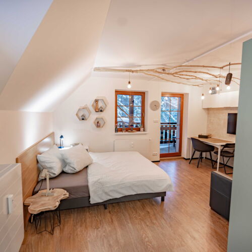 Studio 1-Room Apartment for 2 Persons with Own Kitchenette (extra bed available)
