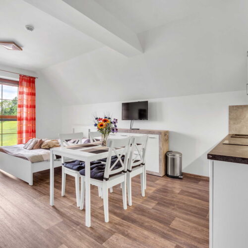 Studio 1-Room Apartment for 3 Persons with Kitchenette (extra bed available)