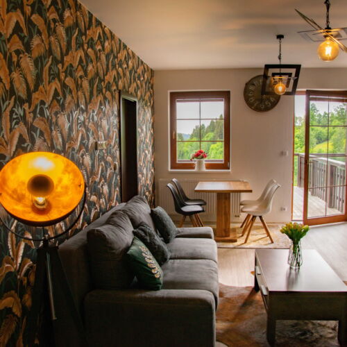 Premium 1-Room Apartment for 2 Persons with Shower (extra beds available)