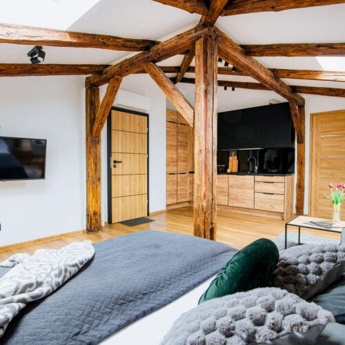 Apartament 2-osobowy na poddaszu z klimatyzacją z 1 pomieszczeniem sypialnianym