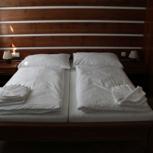 Pokoj se sprchou  pro 2 os.