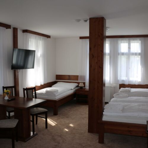 Pokoj se sprchou s vlastní kuchyňkou pro 4 os.