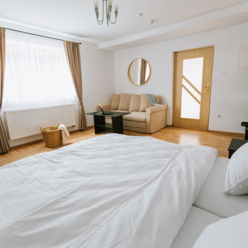 Apartament 4-osobowy Komfort z 1 pomieszczeniem sypialnianym