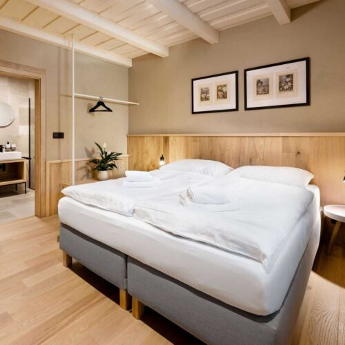 Pokoj se sprchou s terasou s manželskou postelí