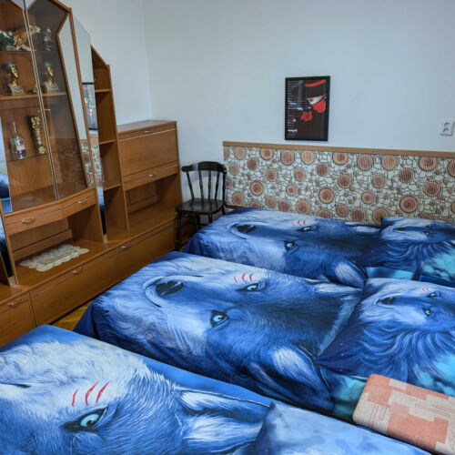 1-Room Apartment for 3 Persons with Shared Bathroom and Shared Kitchenette