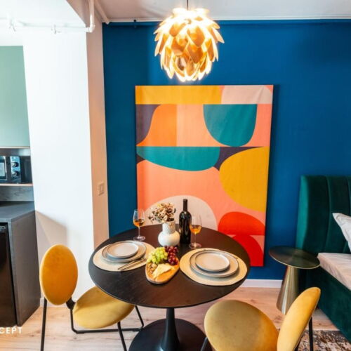 Apartament cu 1 camera pentru 2 pers.