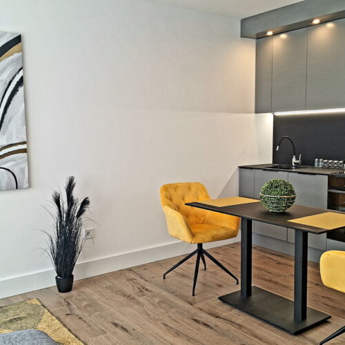 Deluxe Studio Apartman s manželskou postelí s 1 ložnicí (s možností přistýlky)