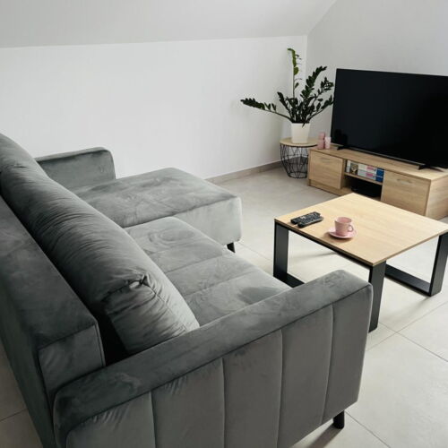 Apartament pentru 10 pers. (se inchirieaza doar integral)