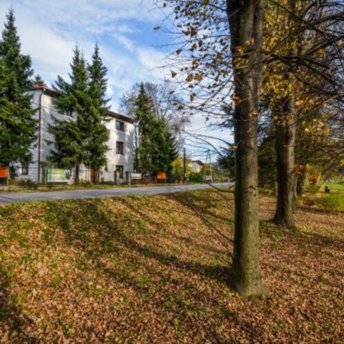 Camera twin cu grădină cu baie