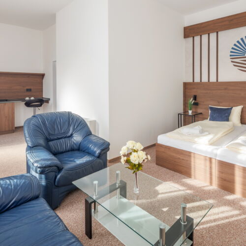 Deluxe Double Room (extra bed available)