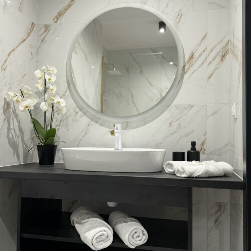 Camera twin cu terasă cu vedere spre râu (se poate solicita pat suplimentar)