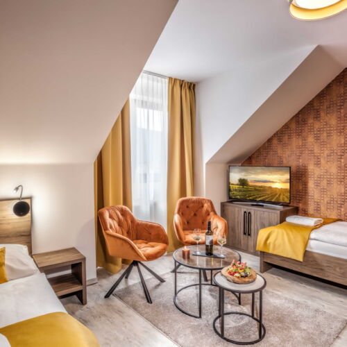 Deluxe Pokoj se sprchou pro 2 os.