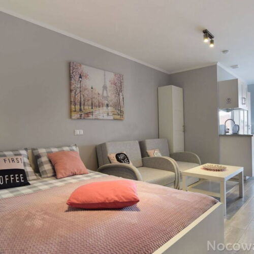 Apartament 4-osobowy z klimatyzacją z dostępem do ogrodu z 1 pomieszczeniem sypialnianym