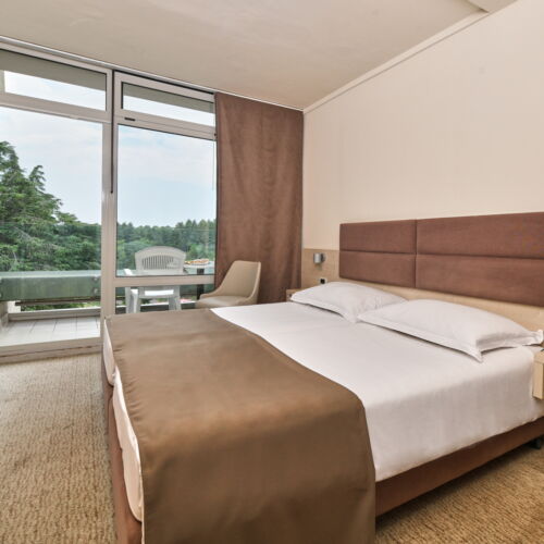 Camera twin cu balcon spre parc