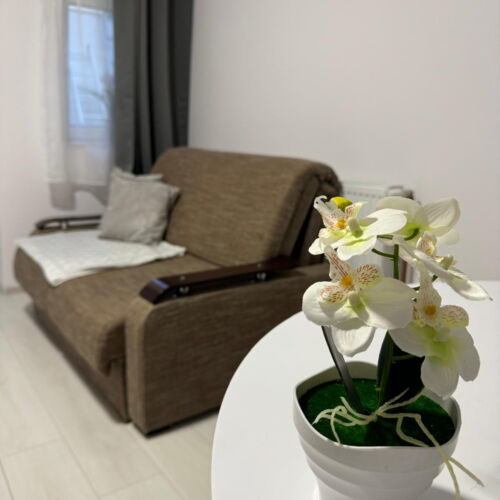 Apartament cu 2 camere pentru 3 pers.