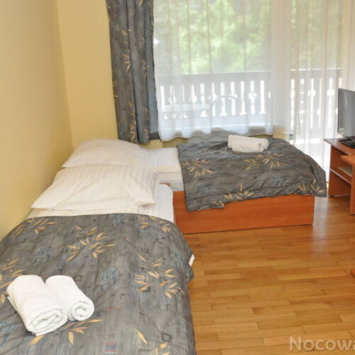 Twin Room ensuite with Shower