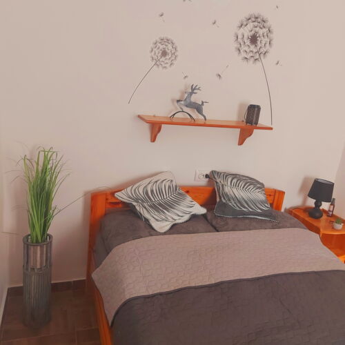 Apartament la parter întreaga unitate pentru 2 pers. (se inchirieaza doar integral)