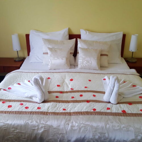 Camera dubla standard cu duș