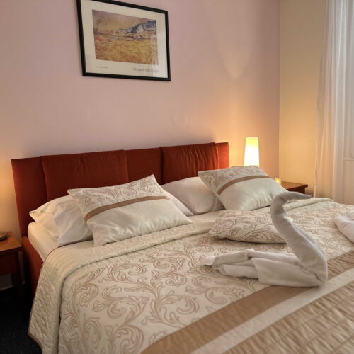 Camera dubla deluxe cu duș (se poate solicita pat suplimentar)