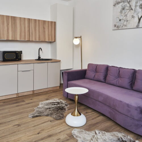 Vila întreaga unitate cu vedere spre munte pentru 4 pers. (se inchirieaza doar integral)