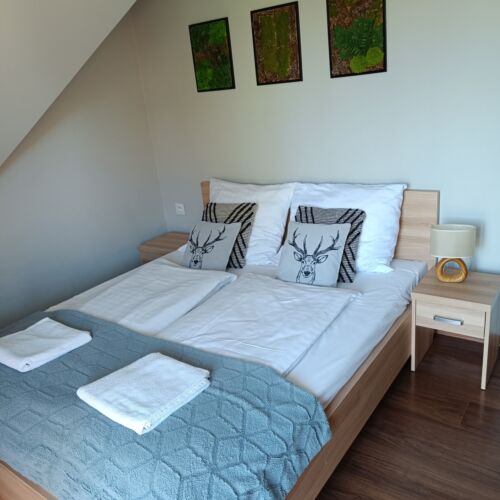 Apartament 4-osobowy na piętrze z widokiem na góry z 1 pomieszczeniem sypialnianym (możliwa dostawka)