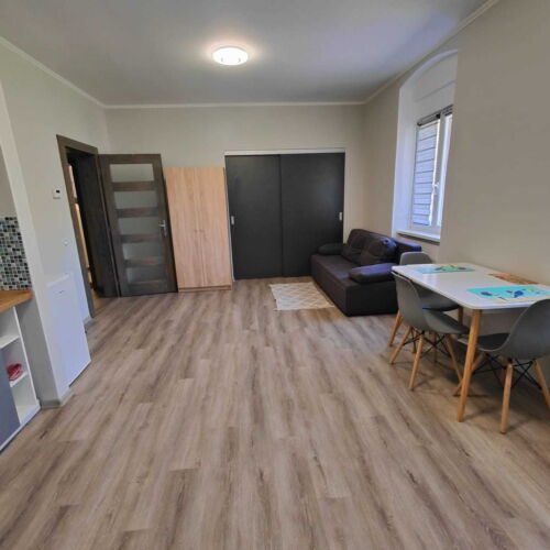 Apartament 2-osobowy z prysznicem z własną kuchnią (możliwa dostawka)