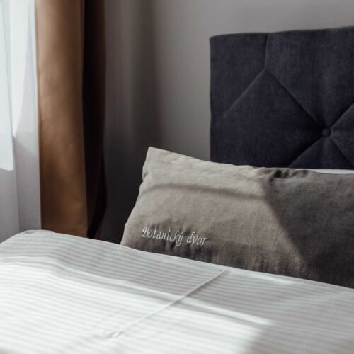 Pokój 2-osobowy Standard z prysznicem (możliwa dostawka)