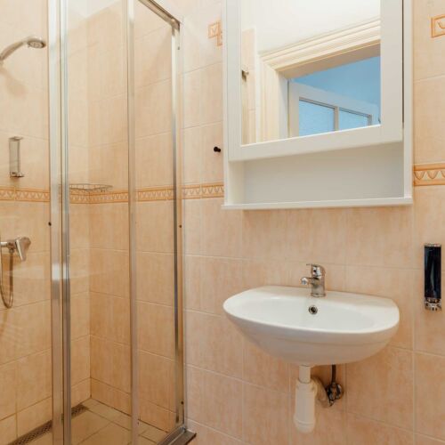 Pokój 2-osobowy Deluxe z prysznicem (możliwa dostawka)