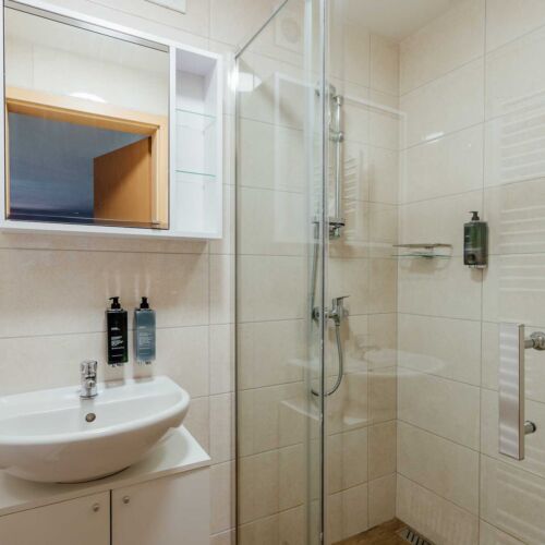 Pokój 3-osobowy z prysznicem z klimatyzacją (możliwa dostawka)