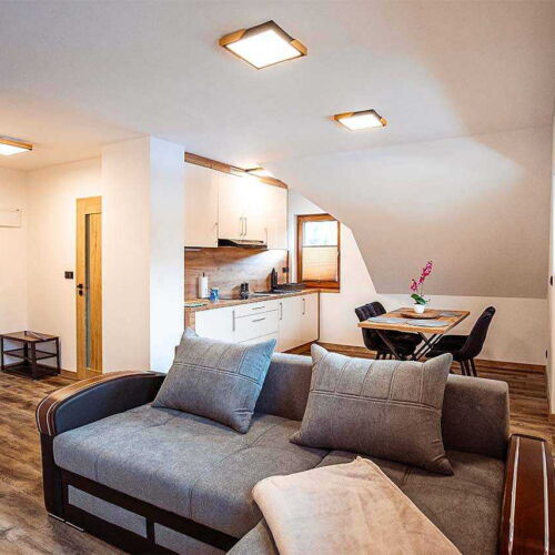 Apartmán so sprchou s vlastnou kuchynkou pre 4 os. s 2 spálňami (s možnosťou prístelky)