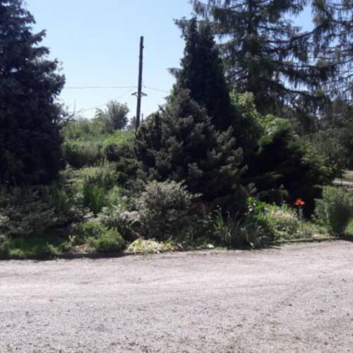 Camera cvadrupla economy la parter