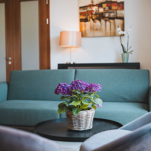 Vila cu duș cu chicinetă proprie pentru 11 pers. (se inchirieaza doar integral)