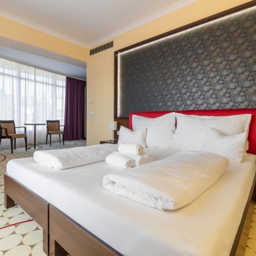 Camera twin standard accesibil(ă) persoanelor cu dizabilități (se poate solicita pat suplimentar)