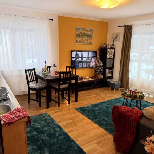 Apartament 5-osobowy z aneksem kuchennym z własną kuchnią