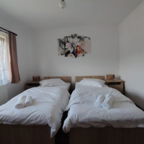 Camera twin (se poate solicita pat suplimentar)